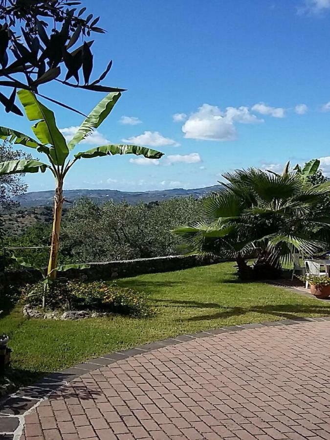 B&B Grandinetti Nocera Terinese Εξωτερικό φωτογραφία
